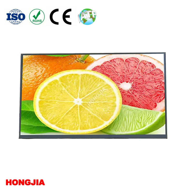 Pantalla tft IPS de 10,1 pulgadas 1920x1080 con interfaz lvds de 40 pines