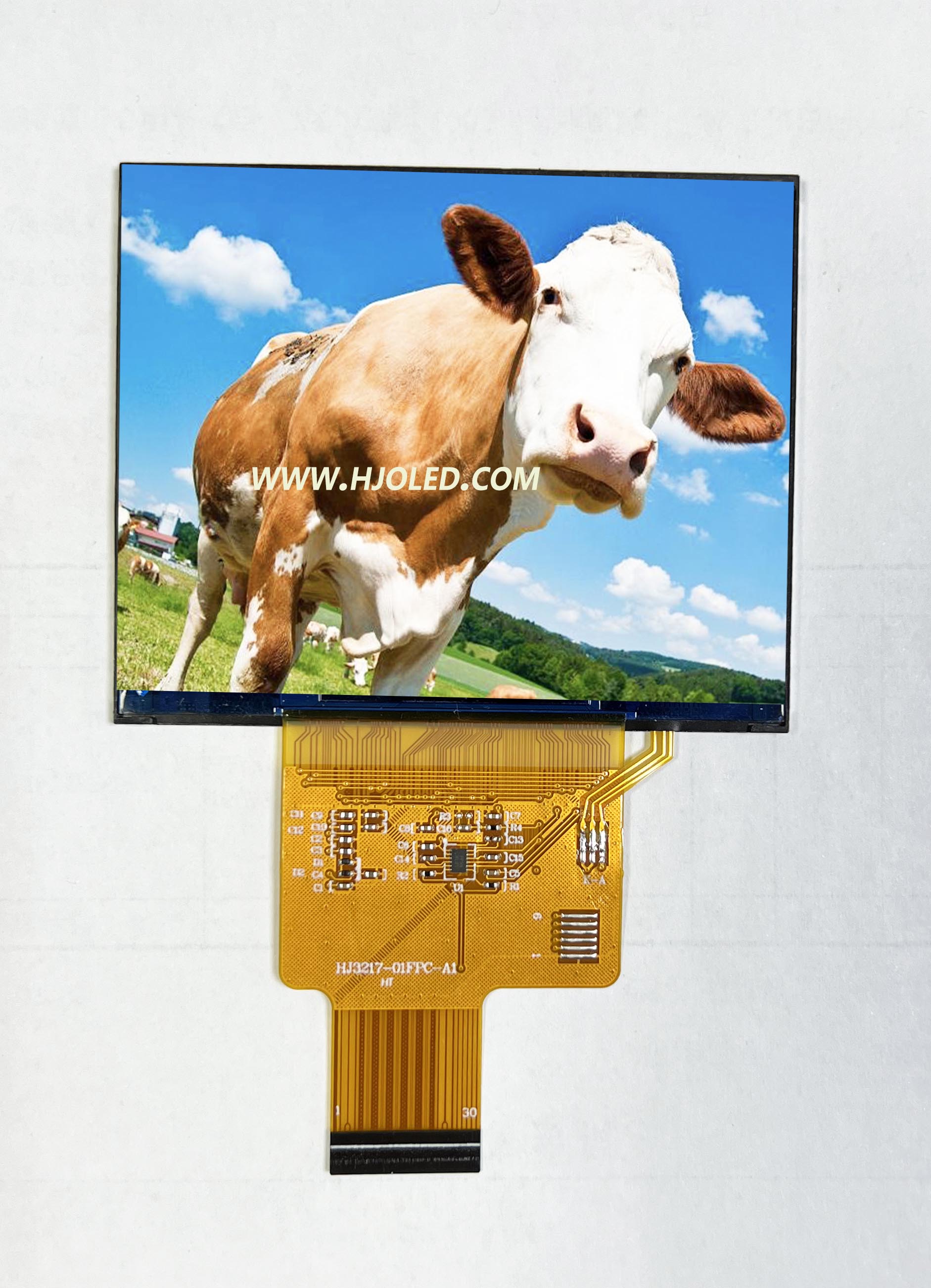 Pantalla de pantalla horizontal IPS de 3.17 pulgadas con resolución 1024*768, admite múltiples interfaces